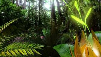 Tropical Forest Wallpaper