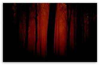 Bloody Forest HD Desktop Wallpaper High Definition Fullscreen