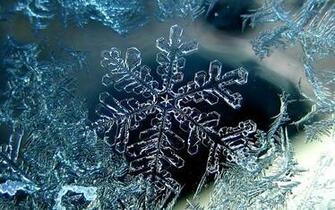 Winter Snow Wallpaper