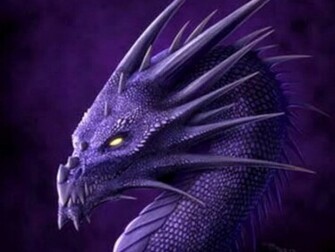 Free download Black Dragon Black Dragon Wallpaper 200x300 Black Dragon ...