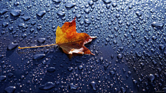 Beautiful HD Rain Wallpaper For Your Desktop