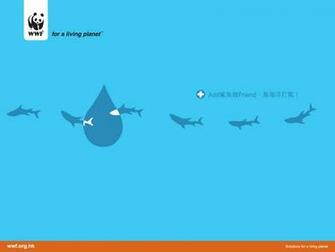 Wwf Hong Kong Wallpaper