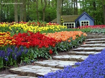 Wallpaper Desk Garden Wallpaperwallpaper