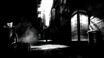 Film Noir Tree Leaf Films