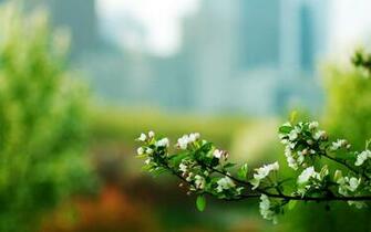 Lur57 High Definition Elegant Wallpaper