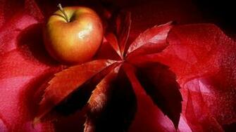 Wallpaper Apple Leaf Still Life