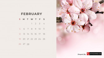 Beautiful Flowers Monthly Calendar For Desktop Wallpaper And