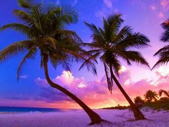 Wallpaper Exotic Beach Near Cancun Mexico HD Widescreen
