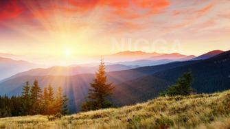 Subtle Mountain Morning I