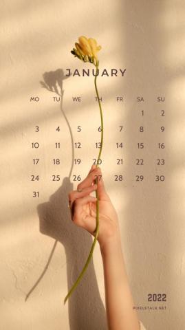 January Calendar iPhone Background Net