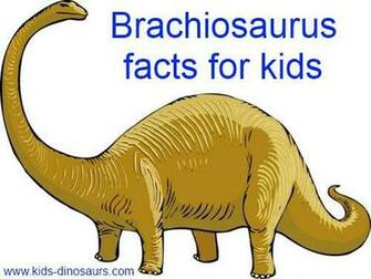 Kids Dinosaurs Brachiosaurus