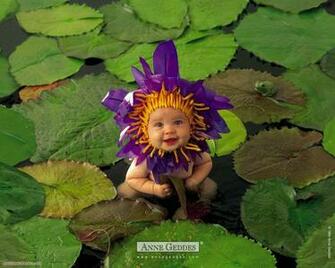 Anne Geddes Wallpaper Part Desktop HD