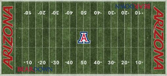 Arizona Wildcats End Zone