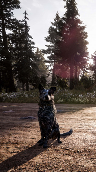iPhone Xs Far Cry Background Wallpaper