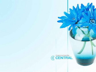 Blue Flowers Wallpaper