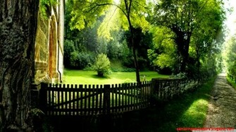 Summer Wallpaper Amazing