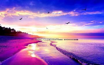 Cool Beach Wallpaper Top Background
