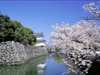 Wallpaper Japan Pack