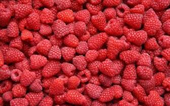 Raspberries Wallpaper