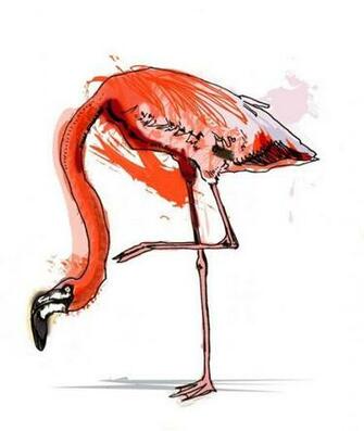 Flamingo Custom Wallpaper Mural Print By Jo Bird