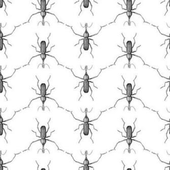 Buggie Abnormals Anonymous Wallpaper