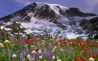 Summer Mountain Landscape Wallpaper Open Walls