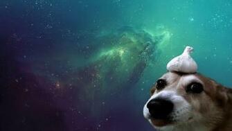 I Need More Funny But Aesthetic Wallpaper Like This Please