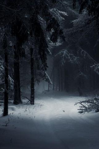 Pin En Wallpaper