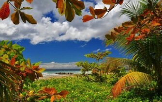 Tropical Island Wallpaper