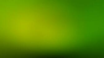 White Orchids On Gradient Green