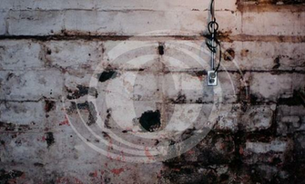 Quality Air Care Qac Mold Remediation And Removal