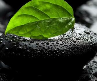 Android Tablet Background Hot HD Wallpaper