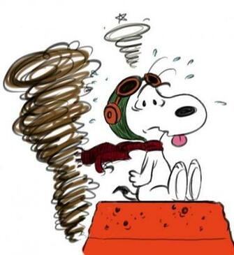 Ww1 Flying Ace Snoopy Photo