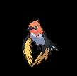 Fletchinder Art Sprites Wallpaper Spritedex