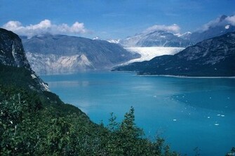 Alaska Wallpaper Wildlife Android Apps On Google Play
