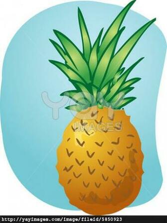 Pineapple Wallpaper iPhone Fruit Illustration 59472b Jpg
