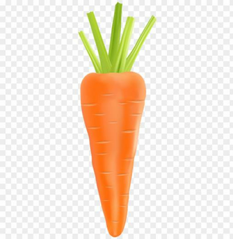 Carrot Transparent Png Image Background Toppng