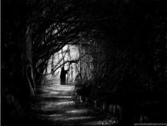 Dark Forest Moon Wallpaper Image In Collection