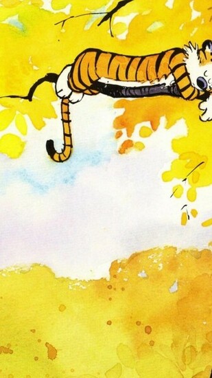 Calvin And Hobbes HD Wallpaper General