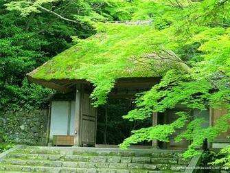 Kyoto Japanese Garden Wallpaper In Zen