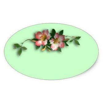 Pink And Mint Floral Background Stickers