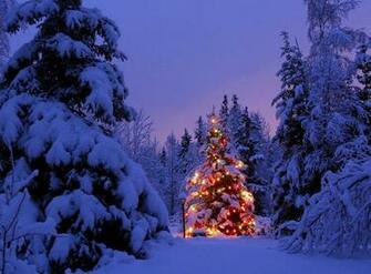 Christmas Trees Garland Snow Park Party New Year Stock
