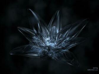 Black Wallpaper Bestwallpaperzone