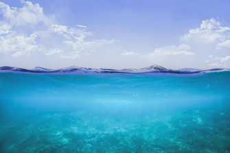 Underwater HD 4k By Mattiamc Wallpaper