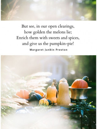 Beautiful Thanksgiving Quotes And Image Printable