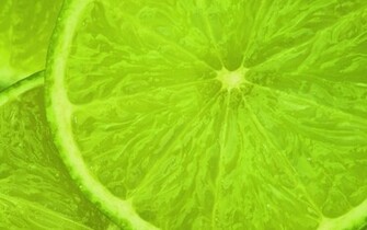 Tags Limes HD Wallpaper Green Color Lime Fruits Desktop Background