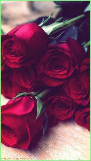 Wallpaper iPhone Flores Rose Corridos Vip