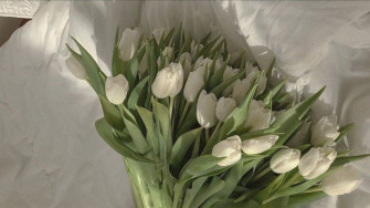 Sage Green Aesthetic Flowers Wallpaper