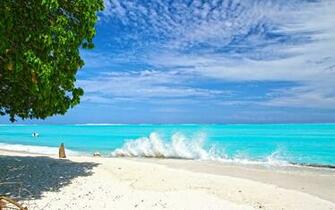 Surf Beach Background Net