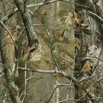 Mossy Oak Wallpaper For Computer Realtree Camo Camouflage